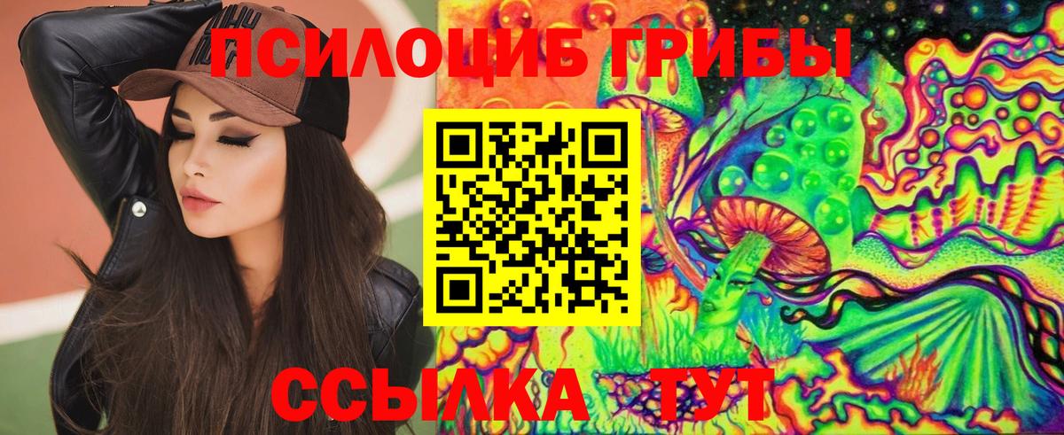 Псилоцибиновые грибы мицелий  Вход с VPN  Майкоп  купить наркотик  Псилоцибиновые грибы MAGIC MUSHROOMS 